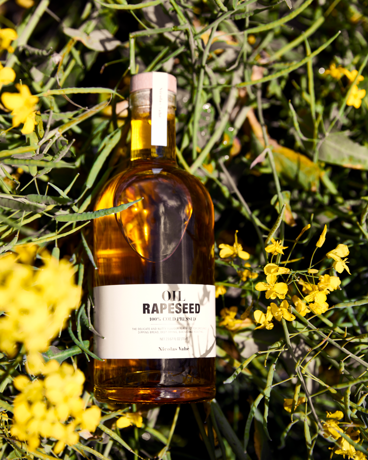 Rapsolja 70 cl