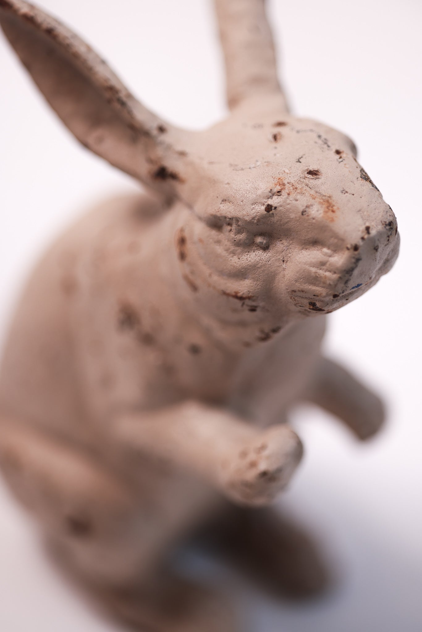 Vintage kanin hare Frankrike