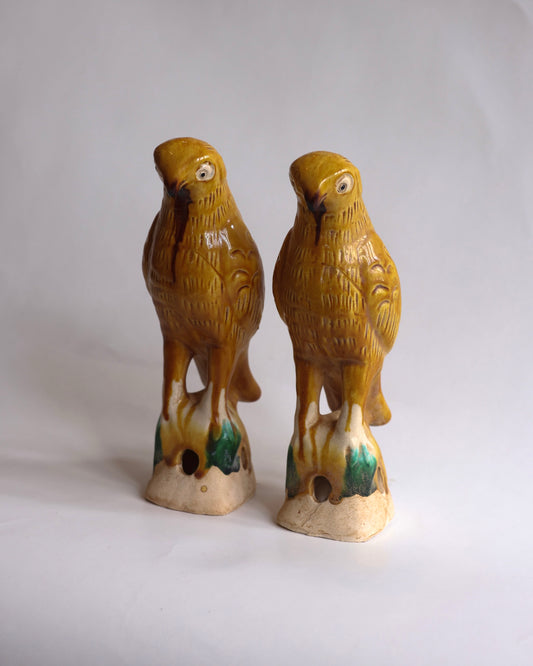 Yellow bird